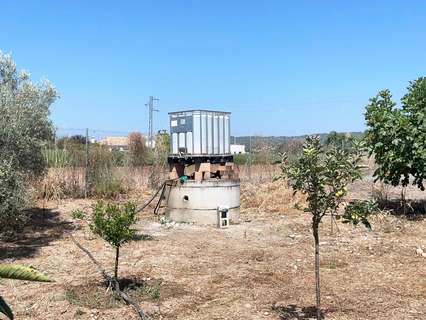 Parcela rústica en venta en Córdoba