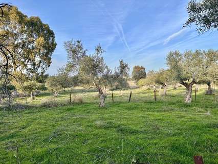 Casa en venta en Peñarroya-Pueblonuevo