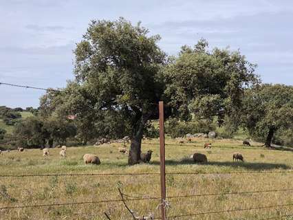Parcela rústica en venta en Fuente Obejuna