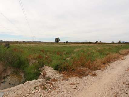 Parcela rústica en venta en San Fulgencio