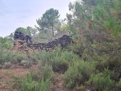 Parcela rústica en venta en Molinicos