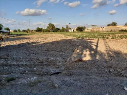 Parcela rústica en venta en Crevillent