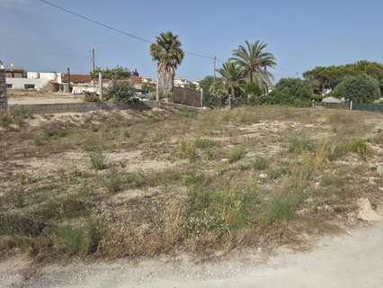 Parcela rústica en alquiler en Elche/Elx zona La Marina