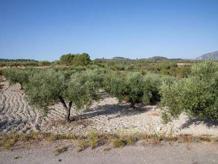 Parcela rústica en venta en Almudaina