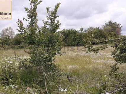 Parcela rústica en venta en Santo Tomé del Puerto