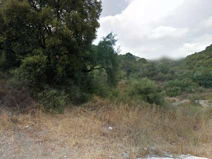 Parcela rústica en venta en Estepona