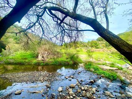 Parcela rústica en venta en Estepona