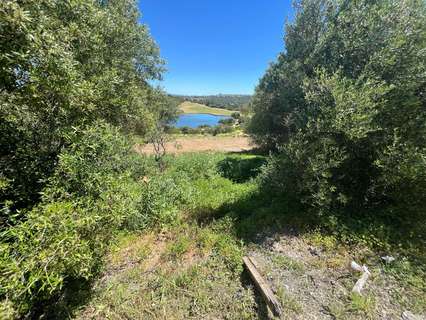 Parcela rústica en venta en Estepona