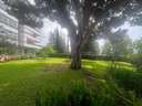 Apartamento en venta en Marbella