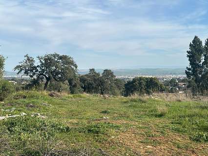 Parcela rústica en venta en Córdoba