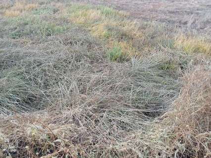 Parcela rústica en venta en Villarreal/Vila-real