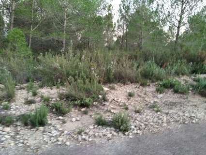 Parcela rústica en venta en La Torre d'en Doménec