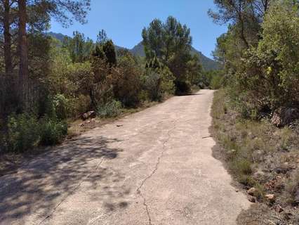 Parcela rústica en venta en Vilafamés