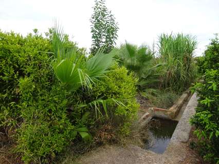 Parcela rústica en venta en Almazora/Almassora