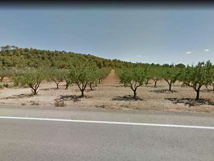 Parcela rústica en venta en Casinos