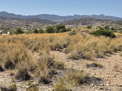 Parcela rústica en venta en Abanilla