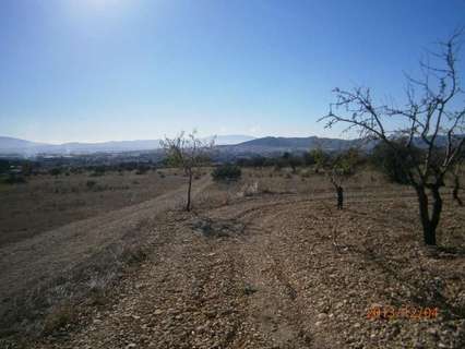 Parcela rústica en venta en Yecla