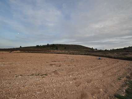 Parcela rústica en venta en Jumilla