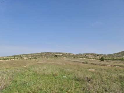 Parcela rústica en venta en Jumilla