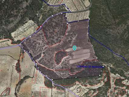 Parcela rústica en venta en Monóvar/Monòver