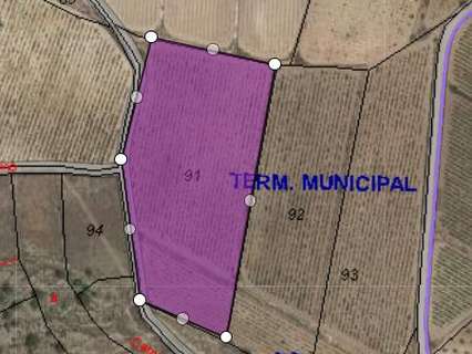 Parcela rústica en venta en El Pinós/Pinoso