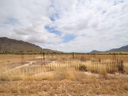 Parcela rústica en venta en Yecla