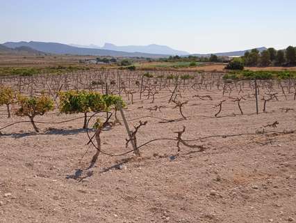 Parcela rústica en venta en El Pinós/Pinoso