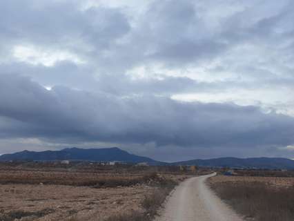 Parcela rústica en venta en El Pinós/Pinoso