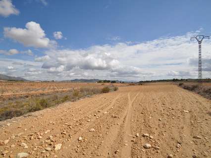 Parcela rústica en venta en El Pinós/Pinoso