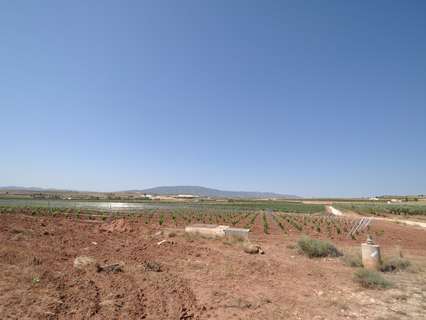 Parcela rústica en venta en El Pinós/Pinoso