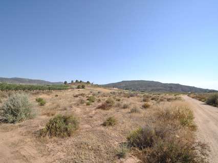 Parcela rústica en venta en El Pinós/Pinoso