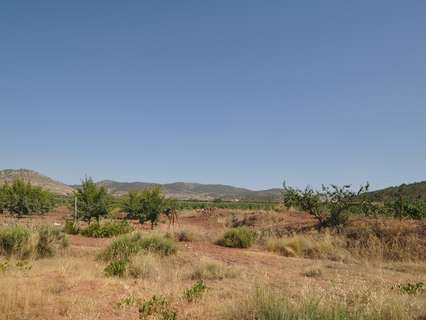 Parcela rústica en venta en El Pinós/Pinoso