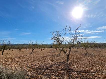 Parcela rústica en venta en El Pinós/Pinoso