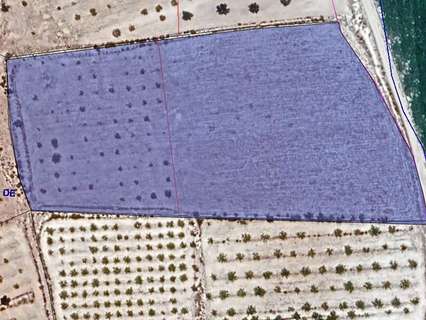 Parcela rústica en venta en El Pinós/Pinoso