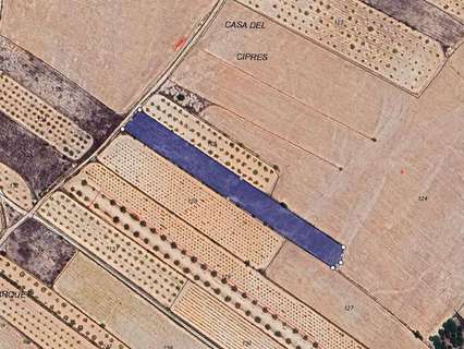 Parcela rústica en venta en Monóvar/Monòver