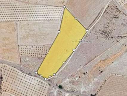 Parcela rústica en venta en El Pinós/Pinoso