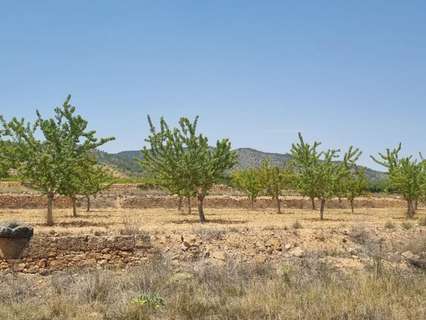 Parcela rústica en venta en Yecla