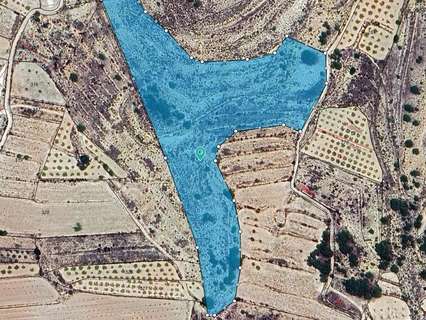 Parcela rústica en venta en El Pinós/Pinoso