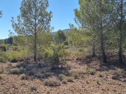 Parcela rústica en venta en Monóvar/Monòver