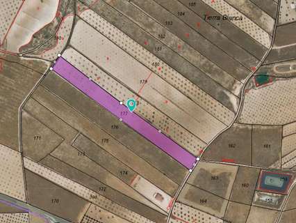 Parcela rústica en venta en Jumilla