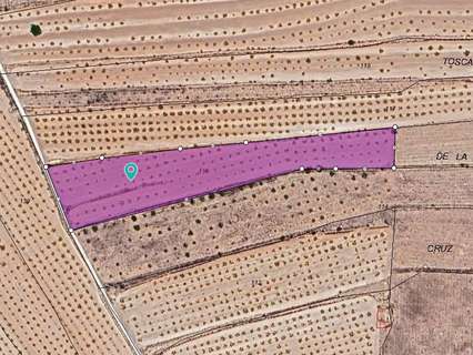 Parcela rústica en venta en El Pinós/Pinoso