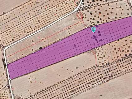 Parcela rústica en venta en El Pinós/Pinoso