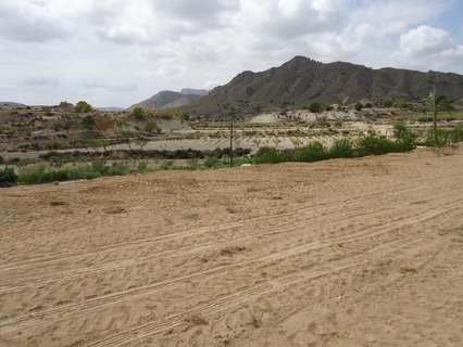 Parcela rústica en venta en Abanilla