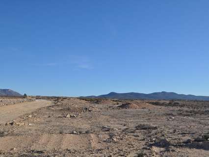 Parcela rústica en venta en El Pinós/Pinoso