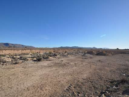 Parcela rústica en venta en El Pinós/Pinoso