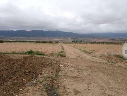 Parcela rústica en venta en Yecla