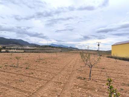 Parcela rústica en venta en El Pinós/Pinoso