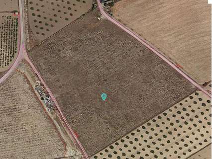 Parcela rústica en venta en Jumilla