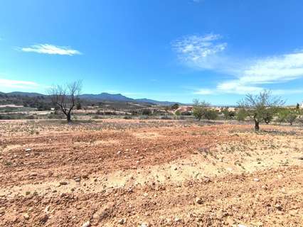 Parcela rústica en venta en El Pinós/Pinoso