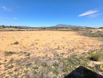 Parcela rústica en venta en Jumilla